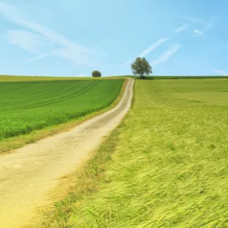 strada di campagna
