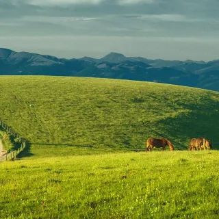 colline umbre